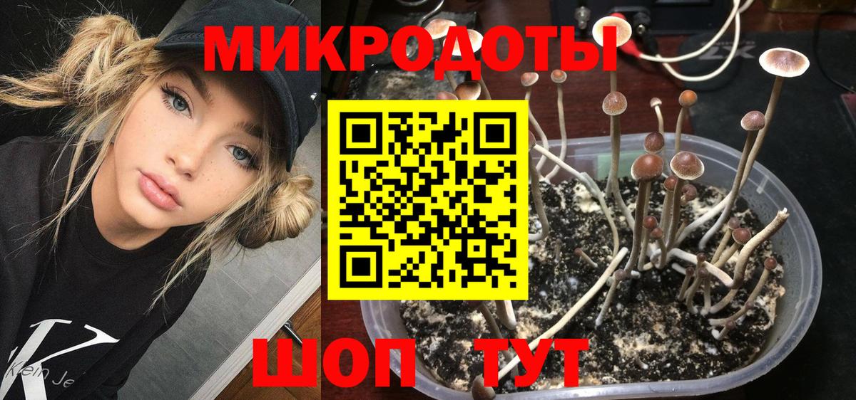 Псилоцибиновые грибы прущие грибы  Вход с VPN  Тара 